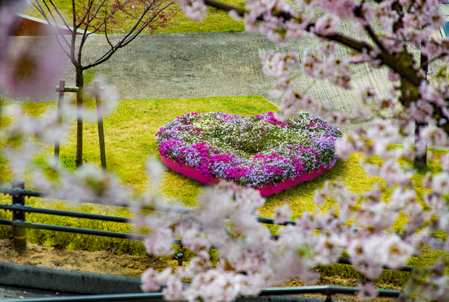 恋人の聖地に彼女と訪れてみたい