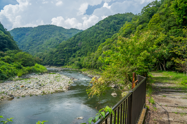 福知山線廃線敷と川