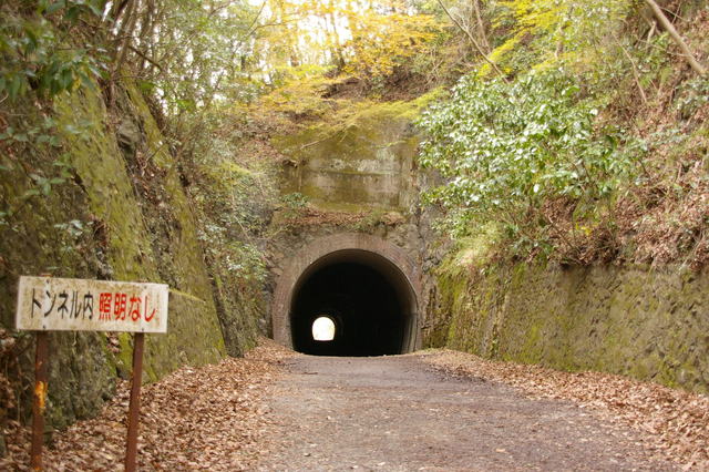 紅葉の福知山線廃線敷（兵庫）