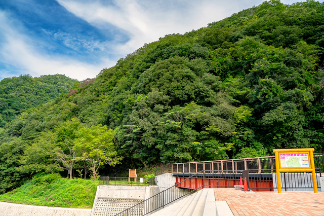 山の中を走る旧福知山線