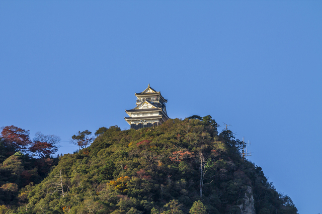 岐阜城（山城）