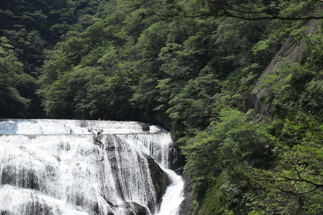 夏の袋田の滝