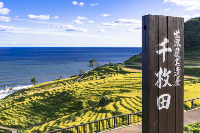 世界農業遺産となった白米千枚田