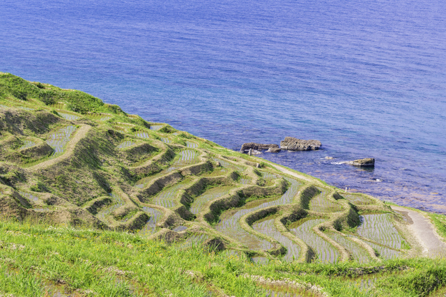 石川県にある棚田