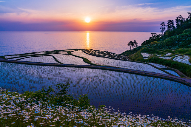 白米千枚田の夕焼け