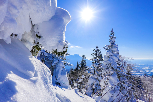 岩手山の雪景色