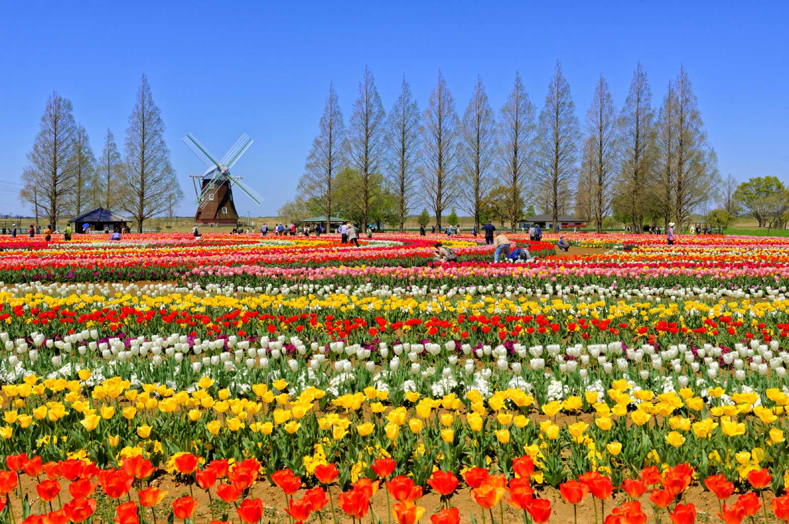 あけぼの山公園