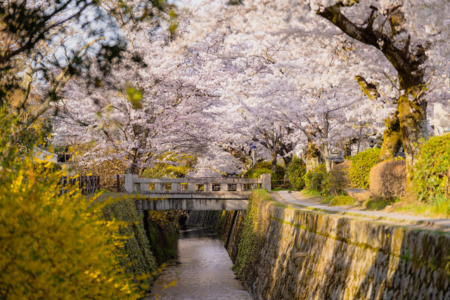 哲学の道