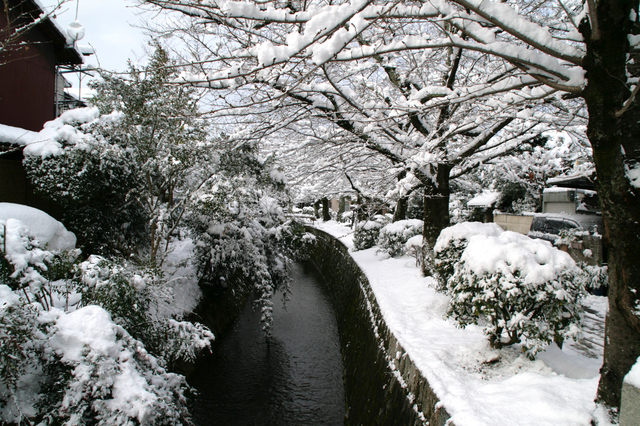 冬は雪化粧