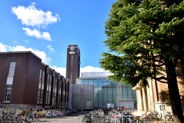 京都大学