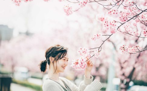 桜は私も好きな花