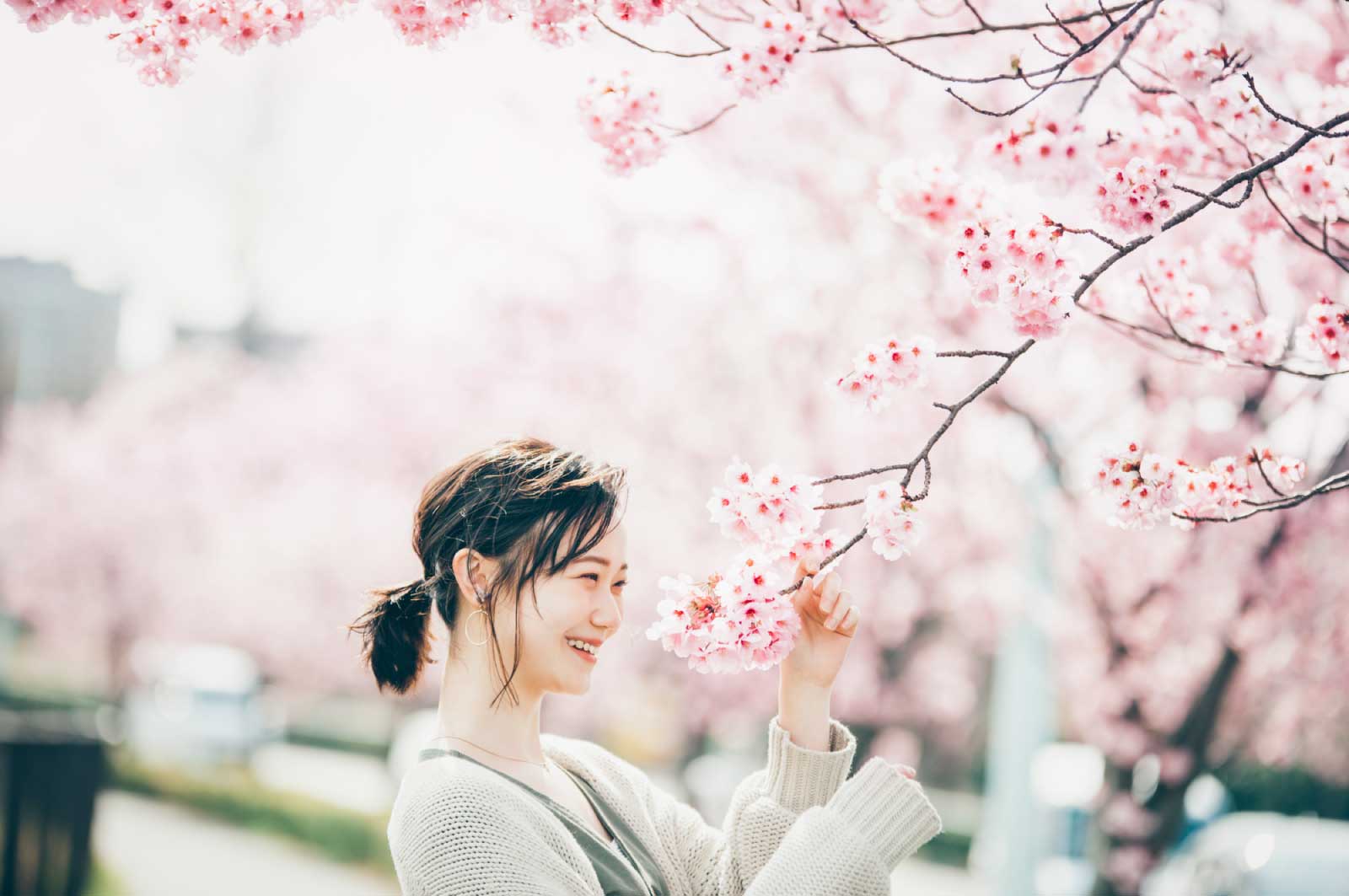 桜は私も好きな花