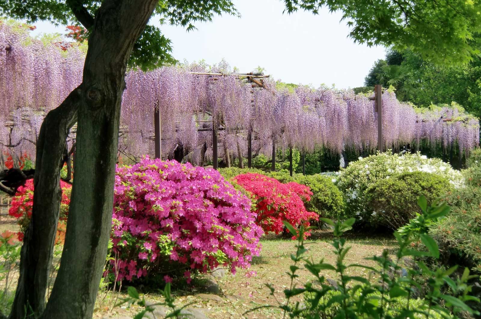 須賀の園