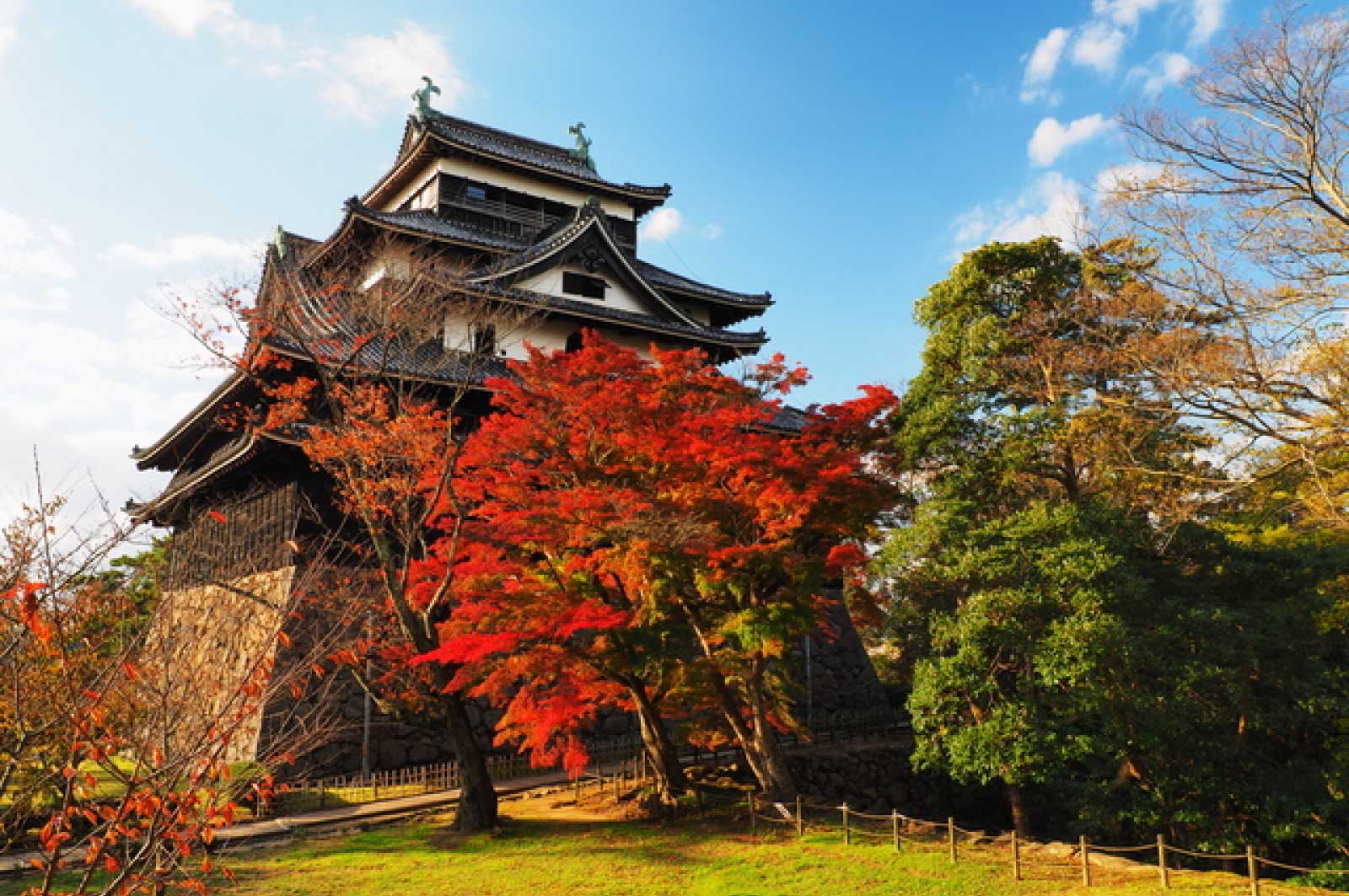 松江城の紅葉