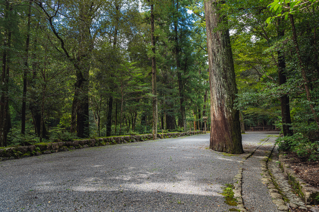 伊勢神宮の参道