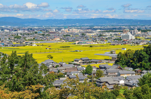 奈良・甘樫丘の眺め