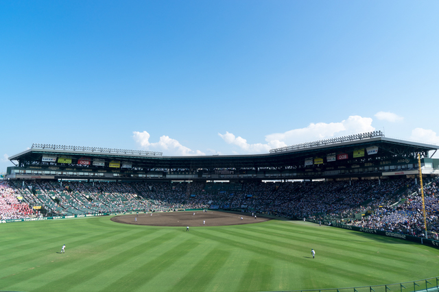 甲子園球場外野席