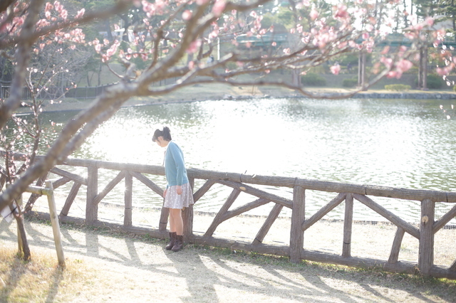 岡崎南公園の梅