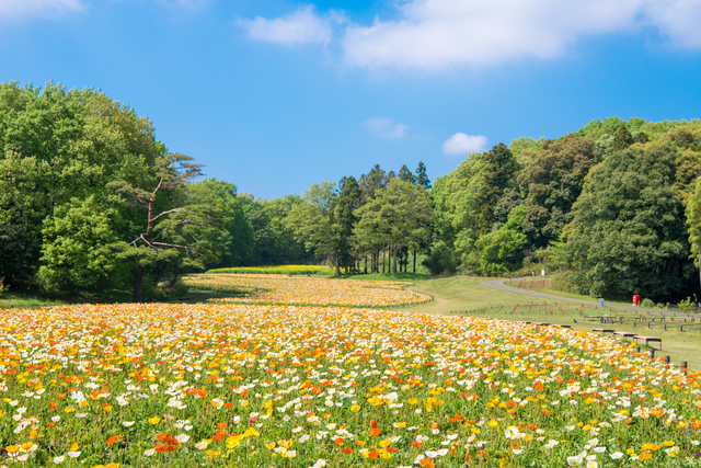 国営武蔵丘陵森林公園