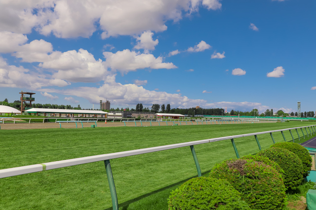 札幌競馬場