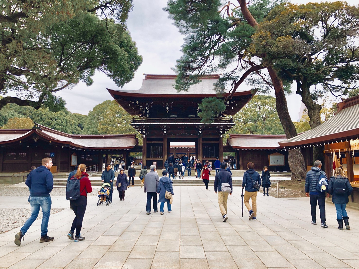 徐々に本殿へと近づく