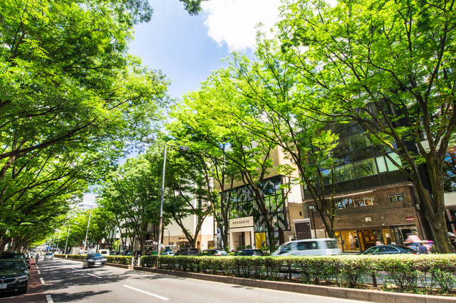 神宮前・表参道