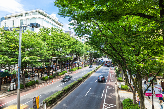 東京・表参道