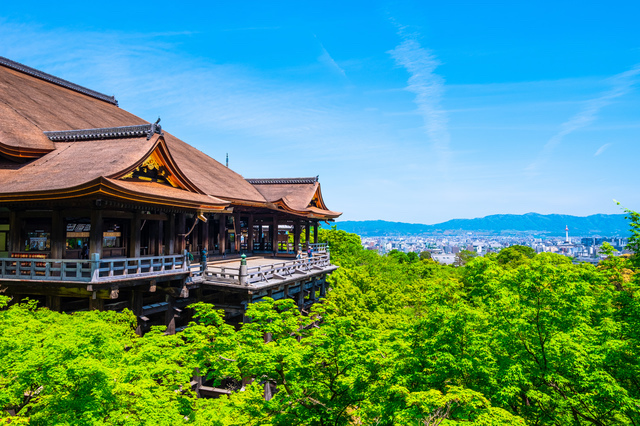 夏の清水寺