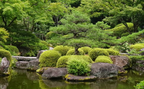 日本庭園