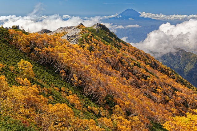 山の紅葉