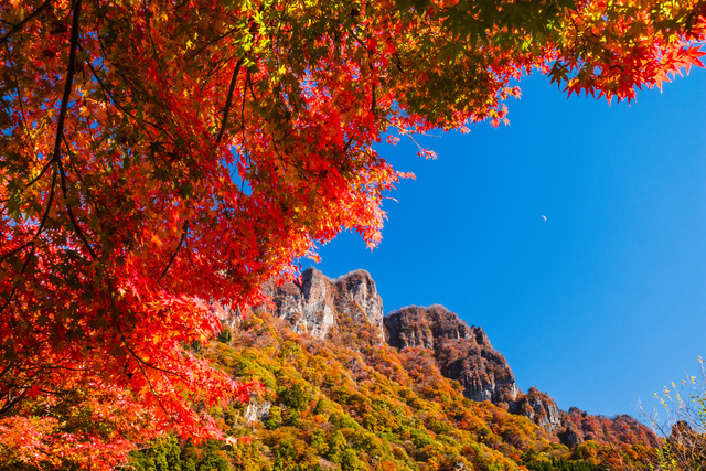 上毛三山の紅葉