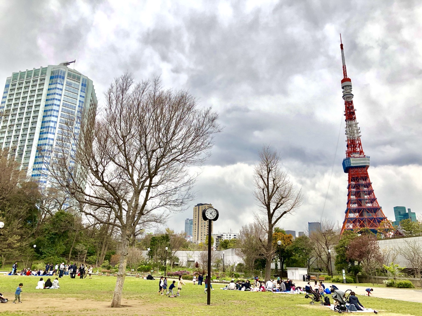 芝公園と東京タワー