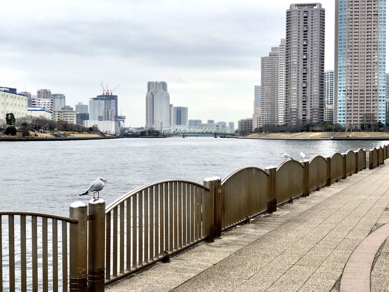 隅田川