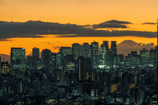 新宿の夜景