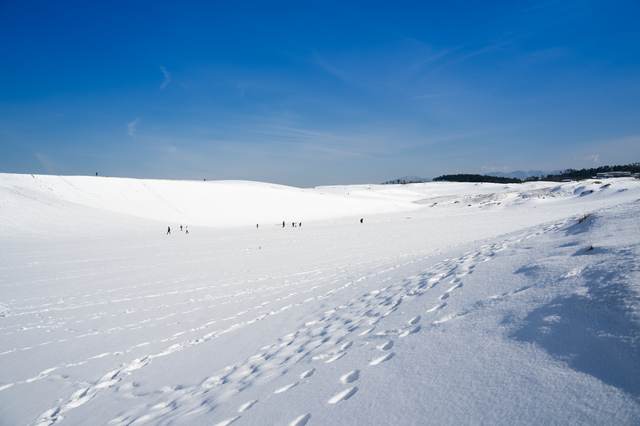 鳥取砂丘の雪景色