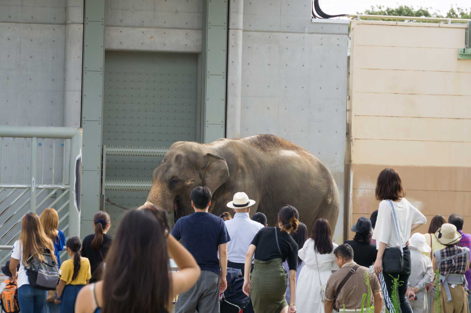 男同士で動物園