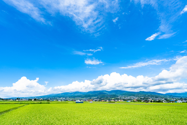 実家は長野