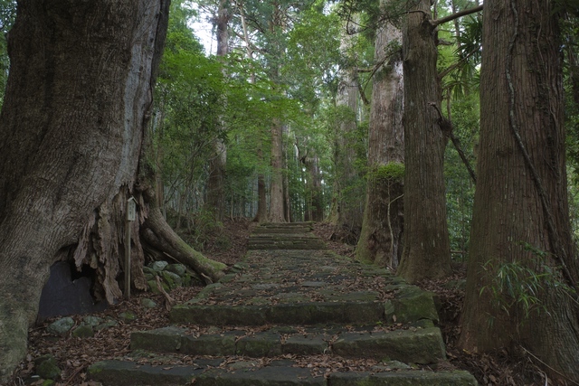 熊野古道