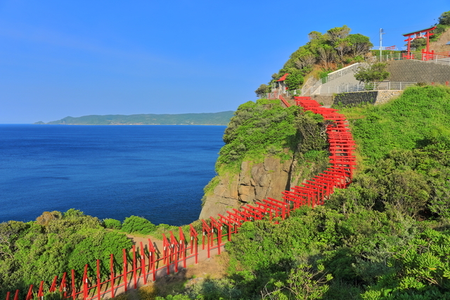 海岸沿いに建つ元乃隅神社