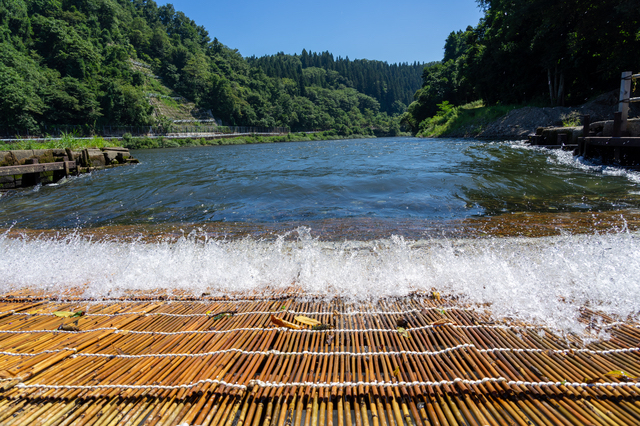 最上川のヤナ場（山形）