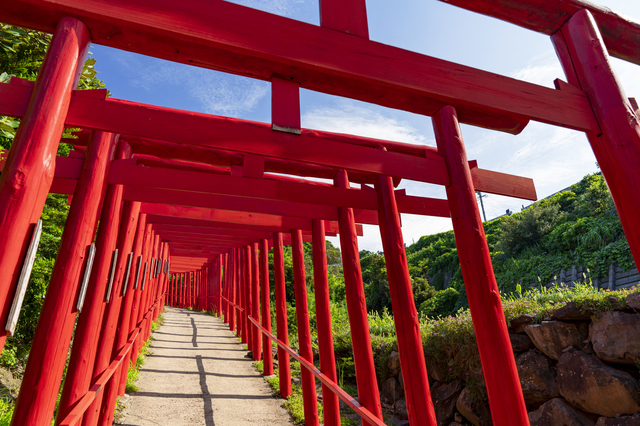 鳥居の並ぶ元乃隅神社の参道