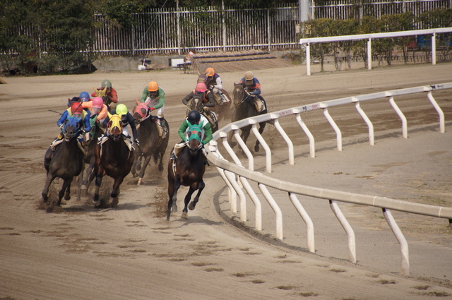 園田競馬場