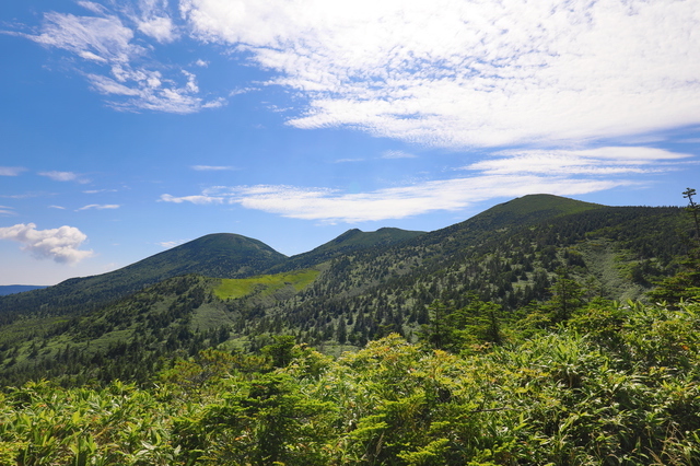 夏の八甲田山