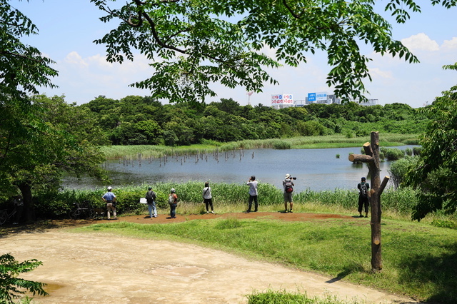 鳥類園ウォッチングセンター