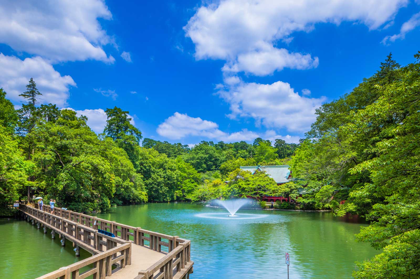 井の頭公園