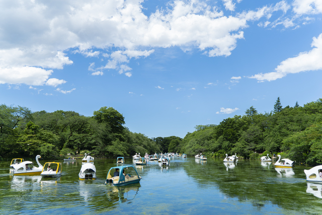 井の頭公園（ボート）