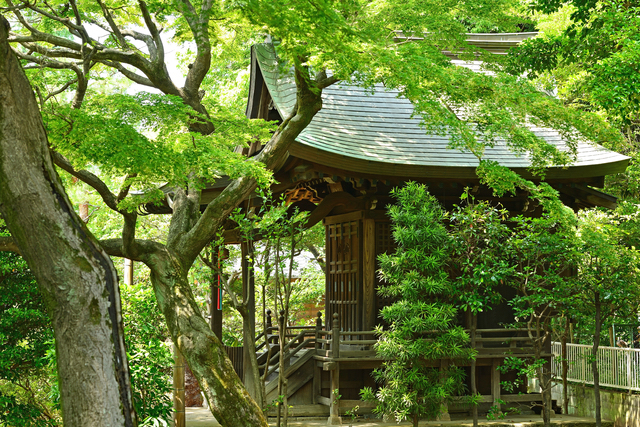 高円寺で見かけた祠