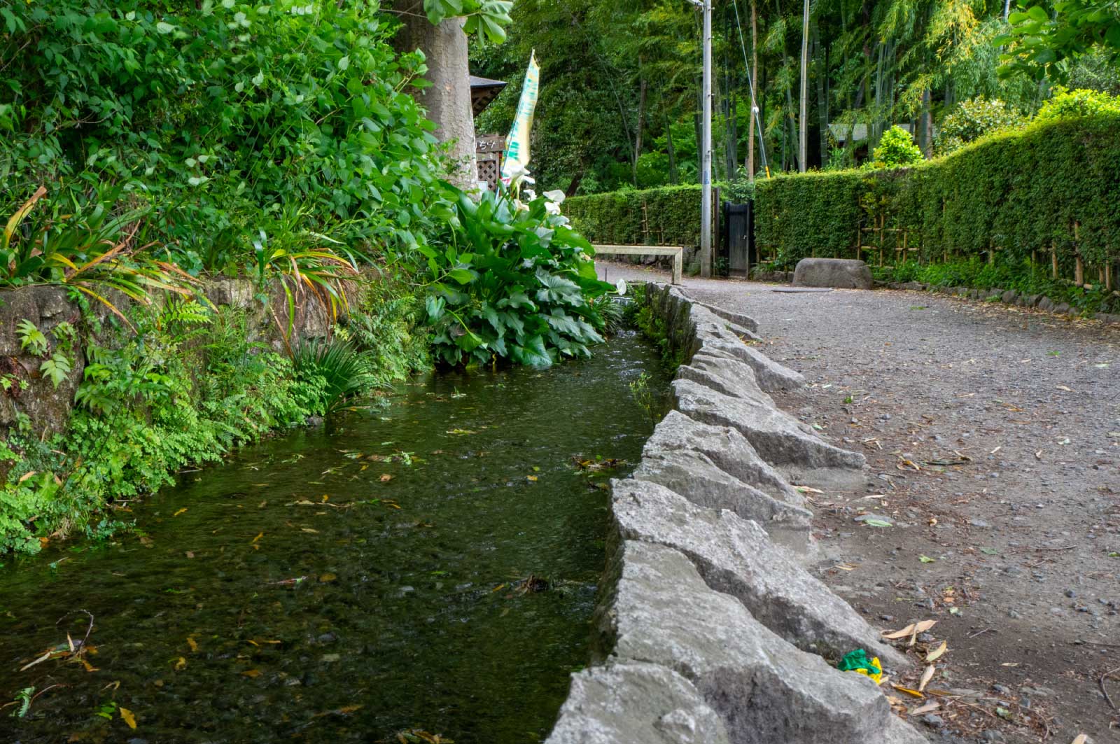 真姿の池湧水群