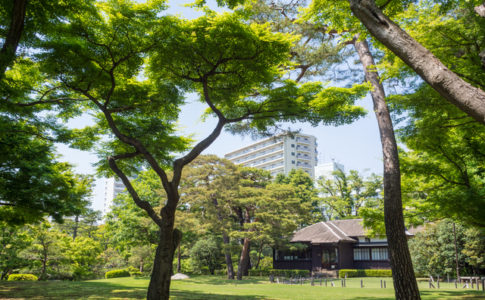 国分寺にある殿ヶ谷戸庭園