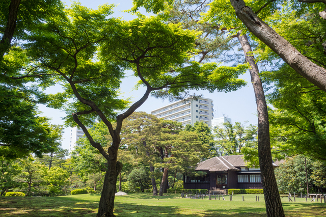 国分寺にある殿ヶ谷戸庭園